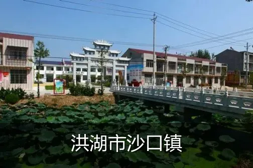 洪湖市沙口镇
